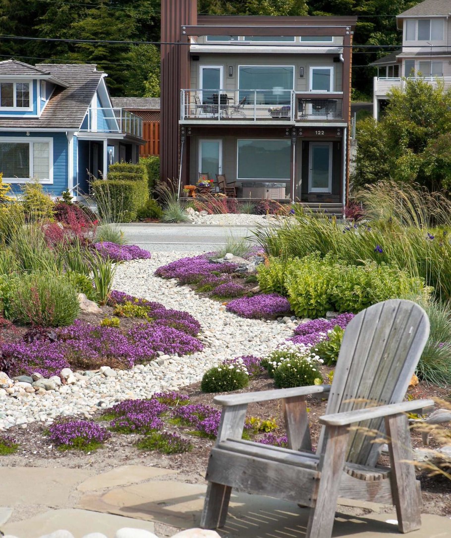 Тимьян в миксбордере