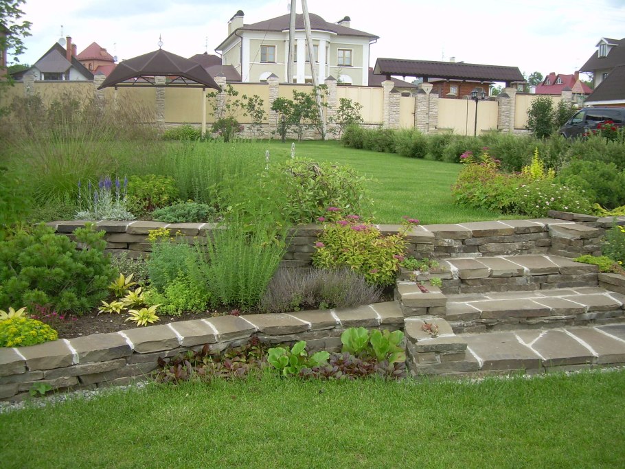 Тимьян в ландшафтном дизайне