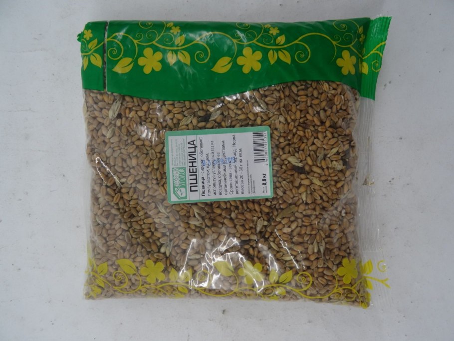 Пшеница (сидерат) 500г