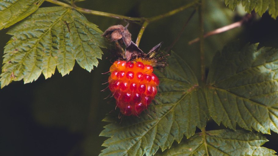 Красивые цитаты про лето