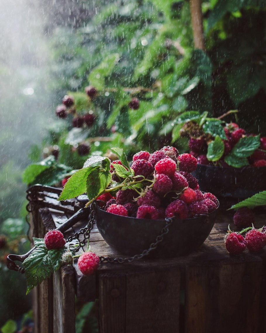 Клубника дождь