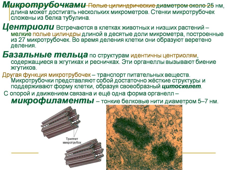 Брелок-пейджер Mongoose LS 9000d
