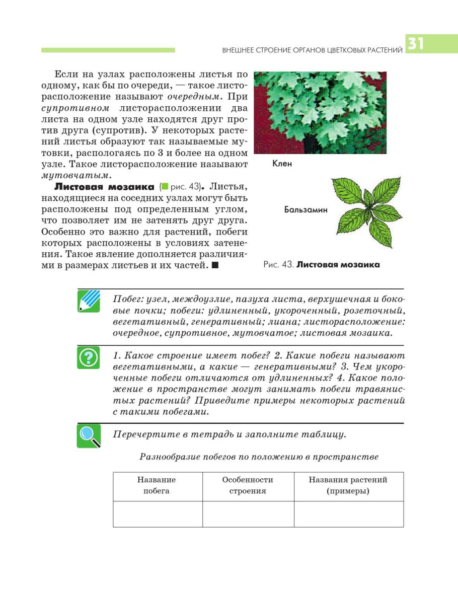 Типы вегетативного размножения растений