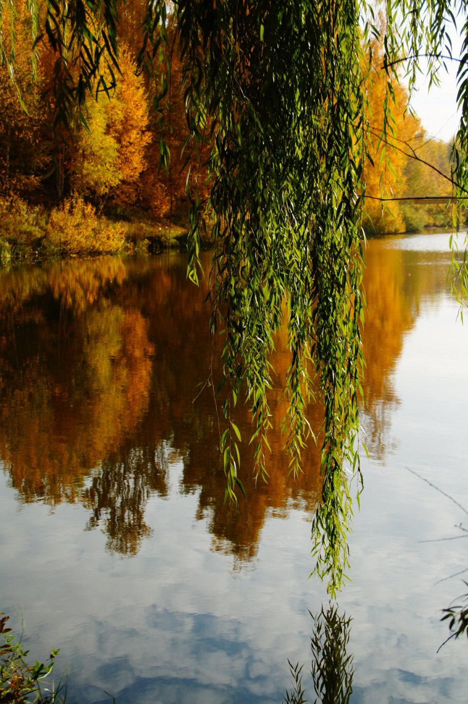 Поздняя осень пруд