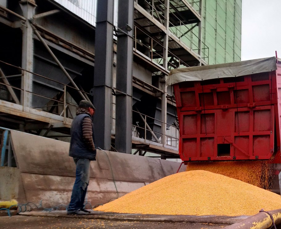 Зерносмесь пшеница и ячмень