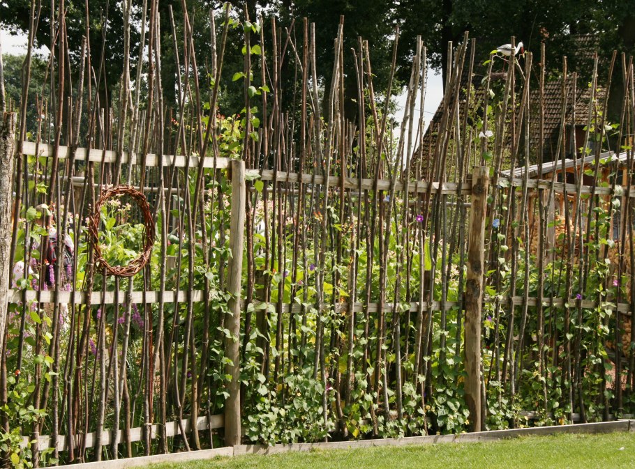 Шпалерная Живая изгородь