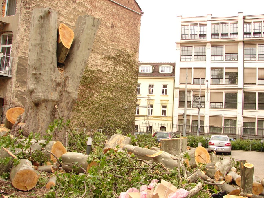 Олхазар Котар