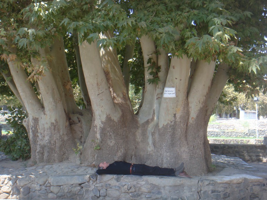 Деревня Акинино турки