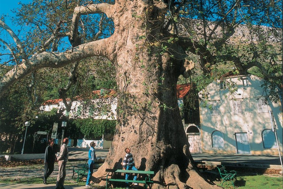 Джумалыкызык Бурса