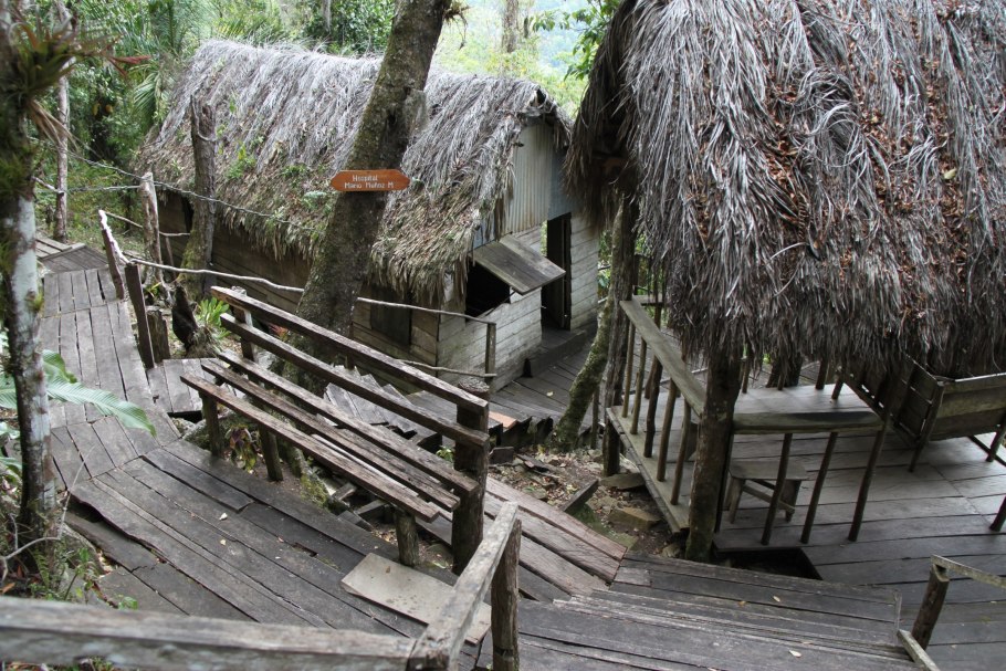 Платан в Турции 2300 лет