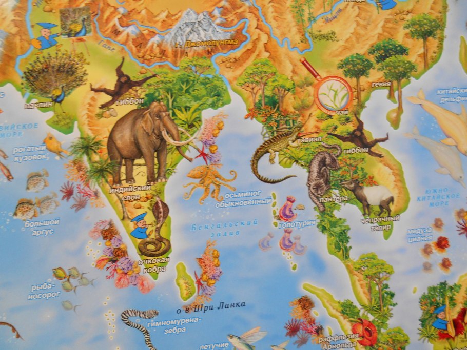Географическая карта для дошкольников