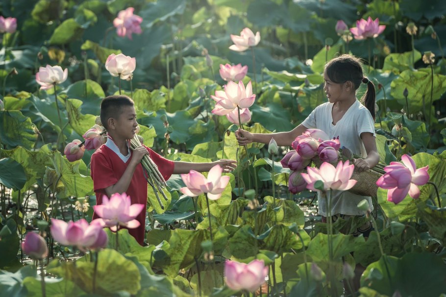Субтропические джунгли Юго Восточной Азии