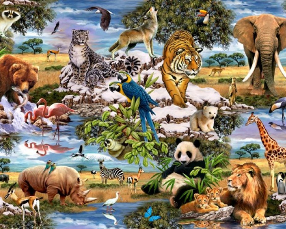 Мир животных