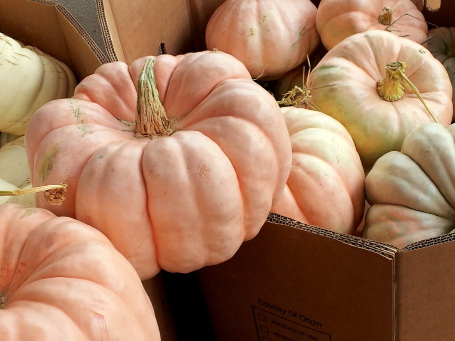 Дробленые тыквенные семечки