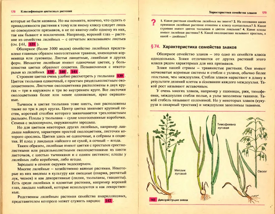 Ландыш Тип корневой системы