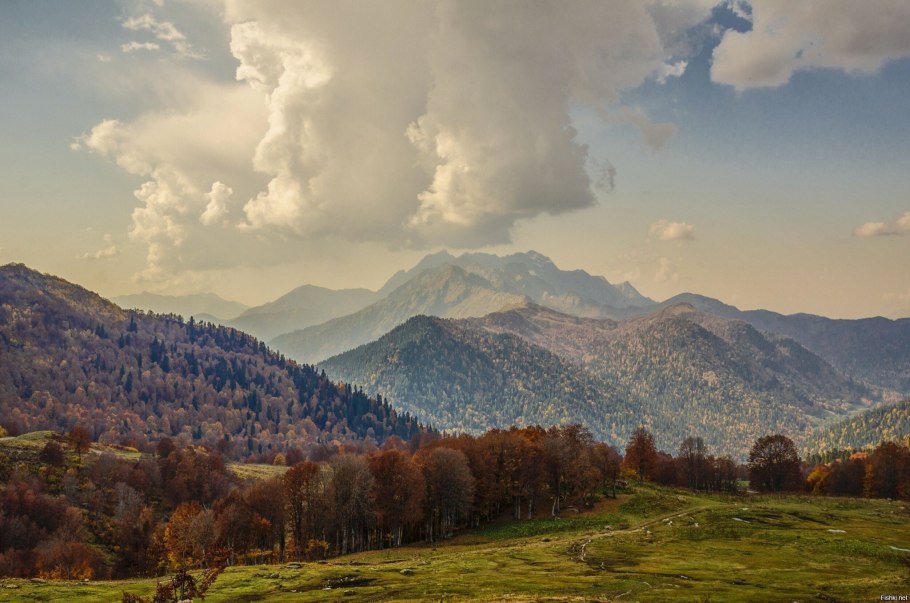 Ауадхара Абхазия Альпийские Луга