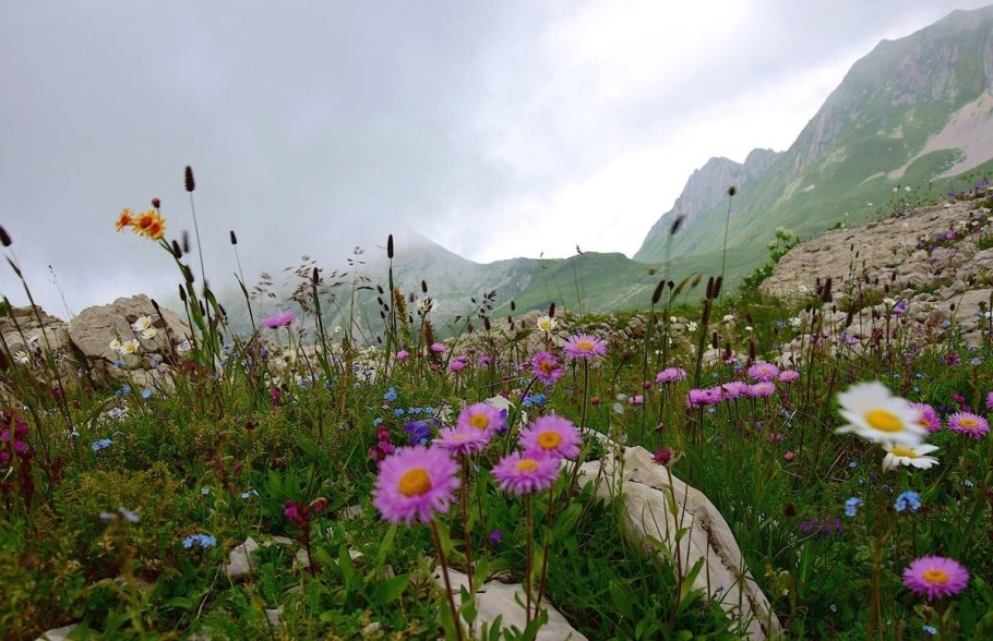 Ауадхара Абхазия