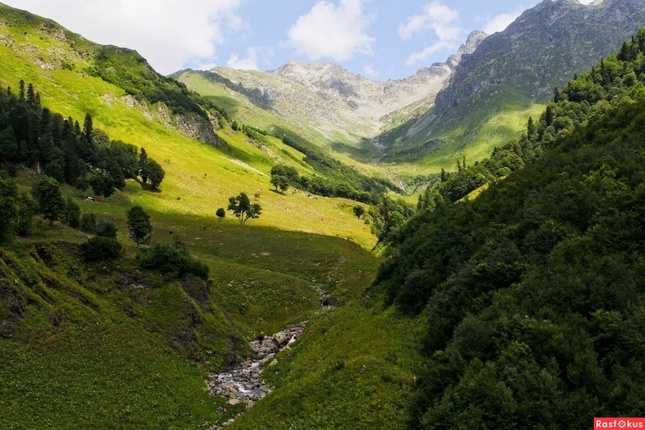 Альпийские Луга Абхазия