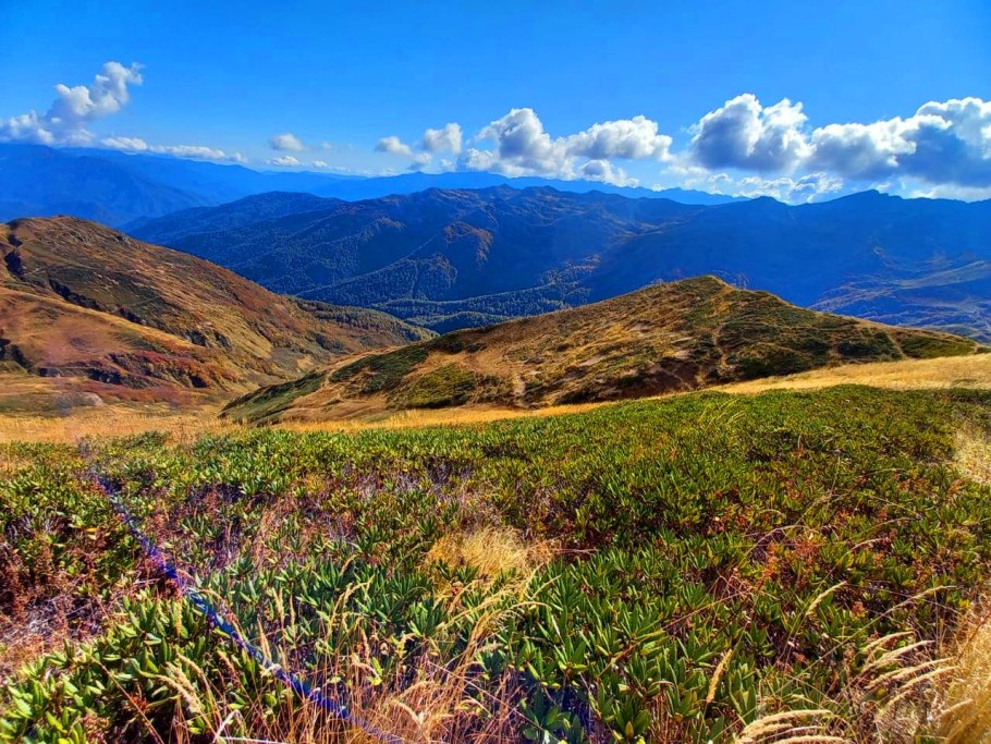 Альпийские Луга Абхазия