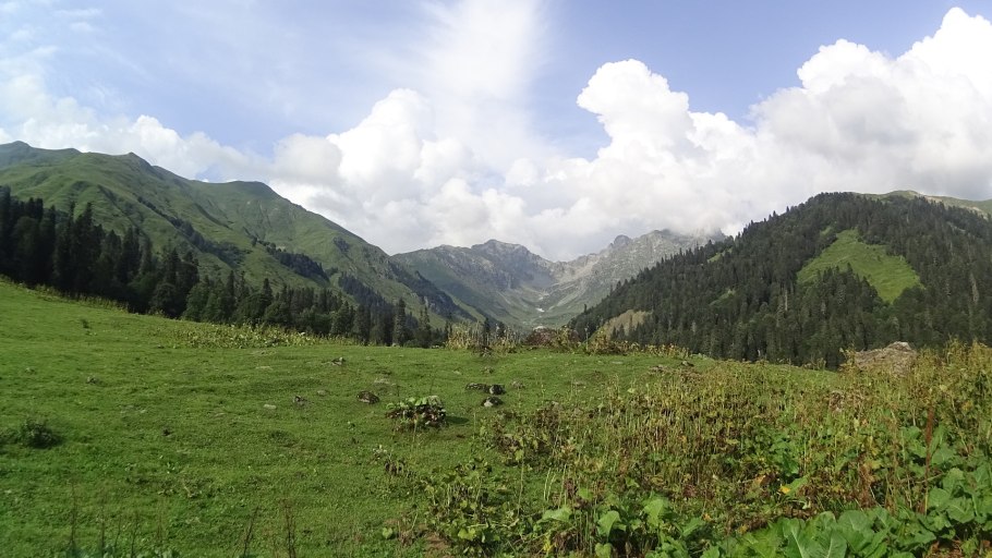 Альпийские Луга Рица