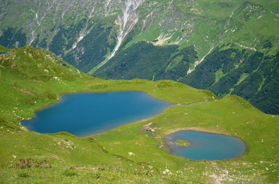 Альпийские Луга Гагра
