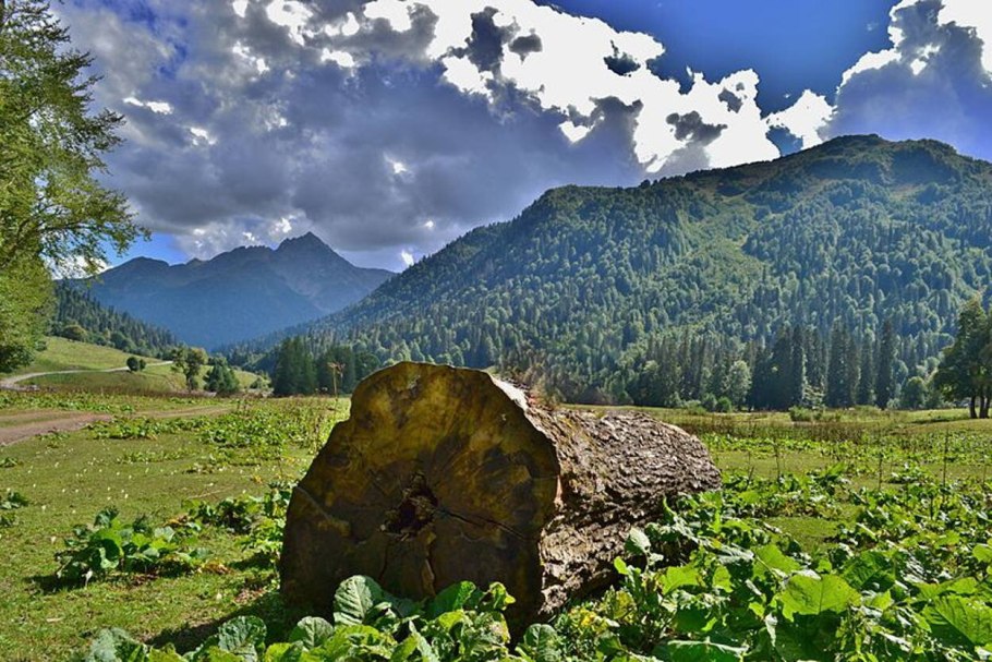 Абхазия альпийские луга