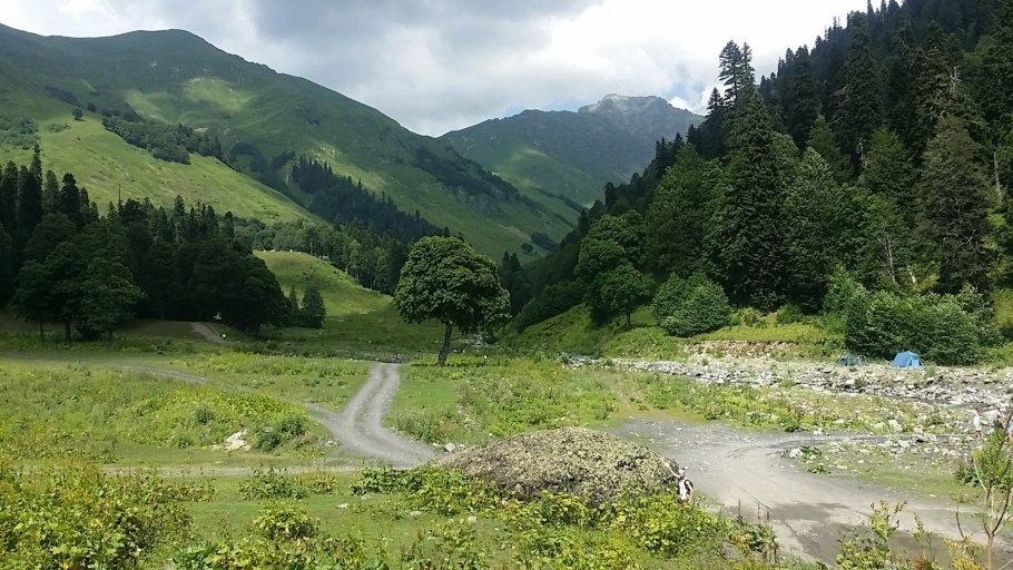 Альпийские Луга Абхазия сентябрь