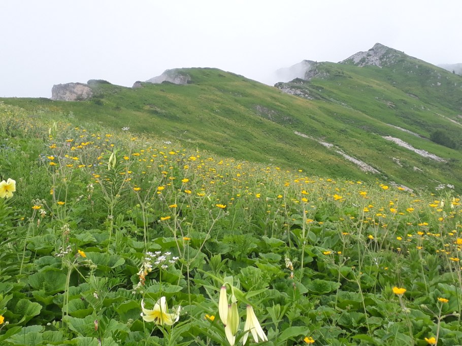 Источник воды в горах