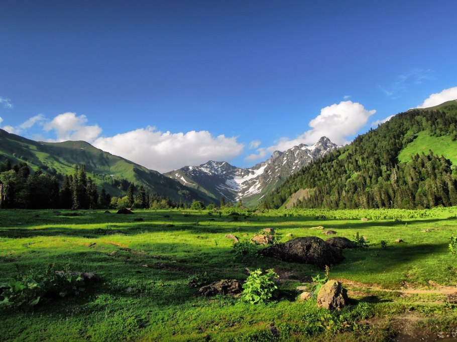 Альпийские Луга Абхазия