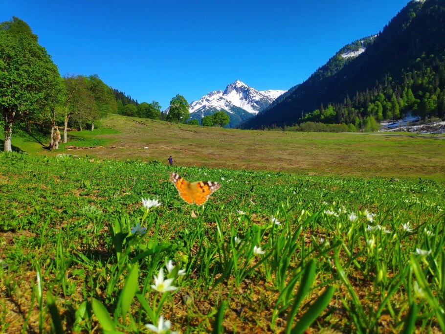 Альпийские Луга Абхазия высота