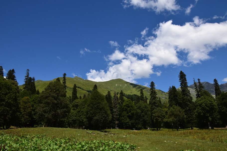 Озеро Рица кемпинг