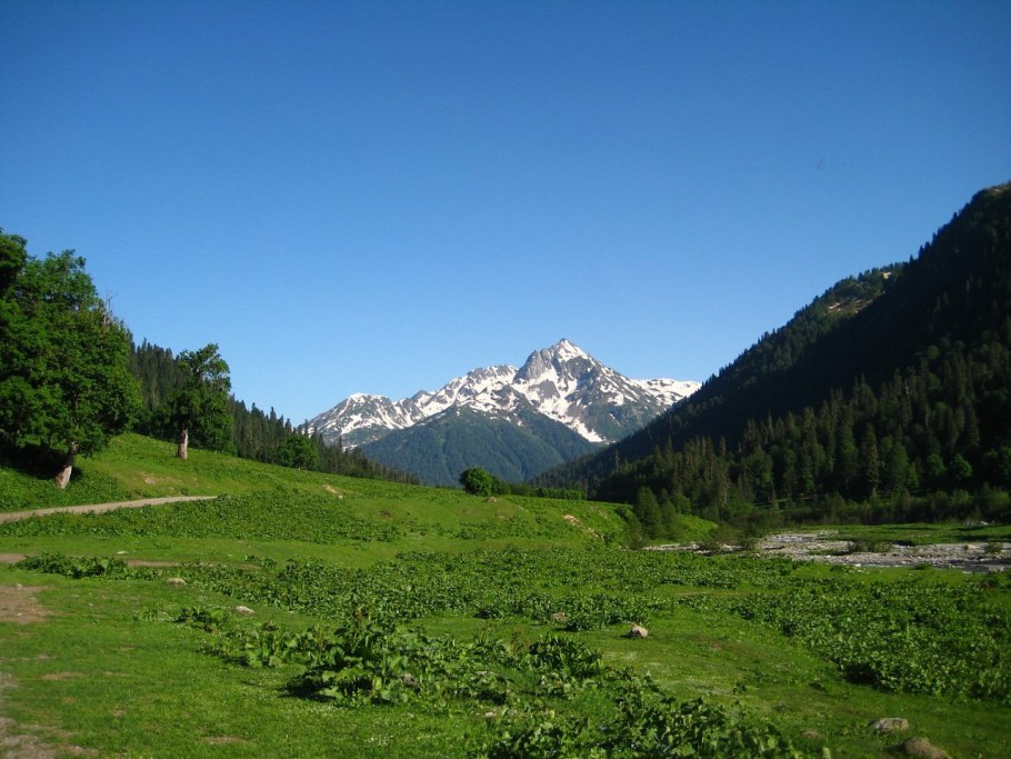 Альпийские Луга Гагра