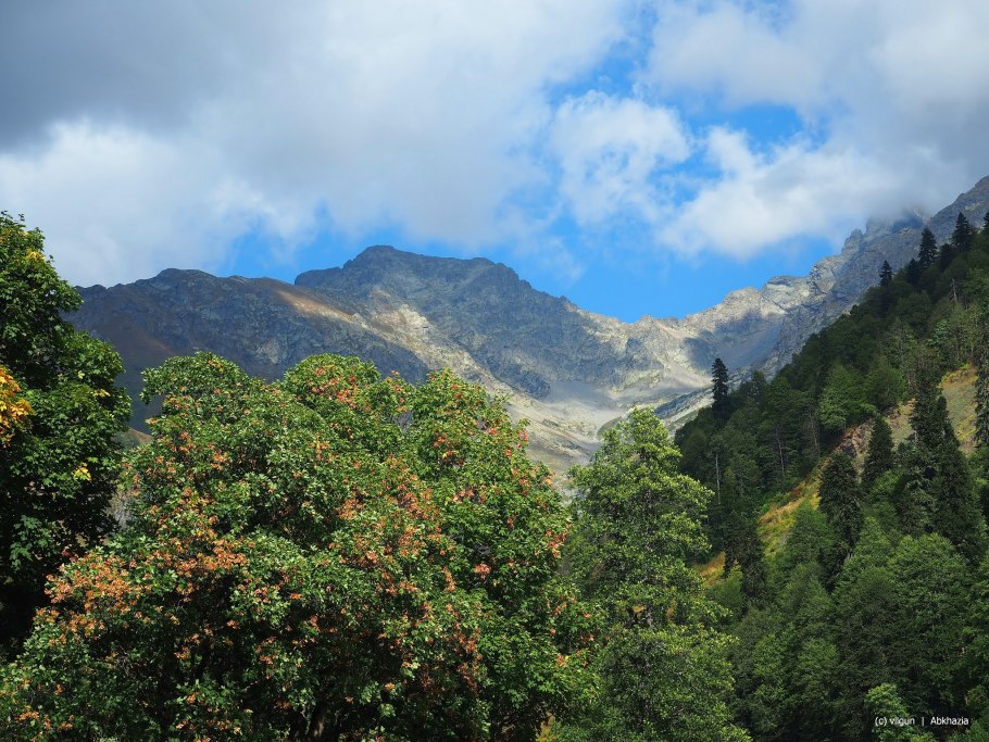 Альпийские Луга Абхазия Кодорское ущелье
