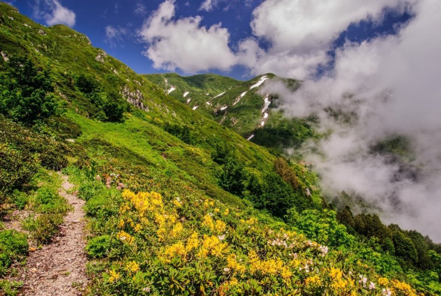 Альпийские Луга Гагра как добраться