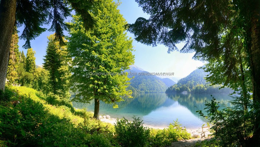 Альпийские Луга Абхазия май