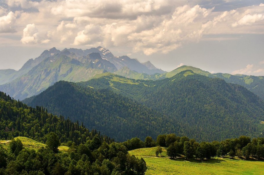 Альпийские Луга в Абхазии экскурсия