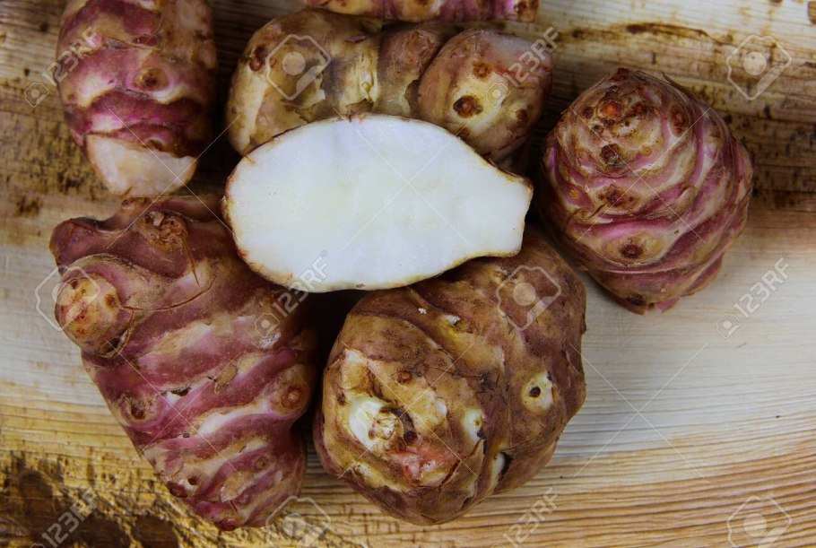 Топинамбур это имбирь