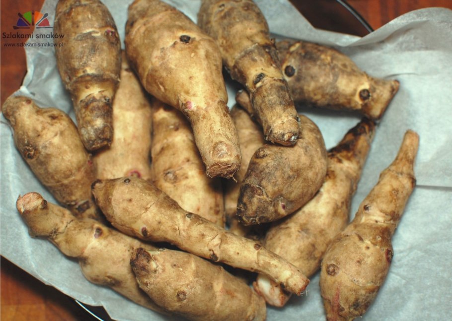 Топинамбур животное