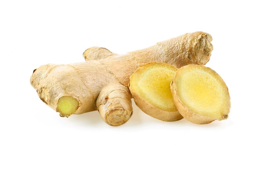 Топинамбур векторный рисунок