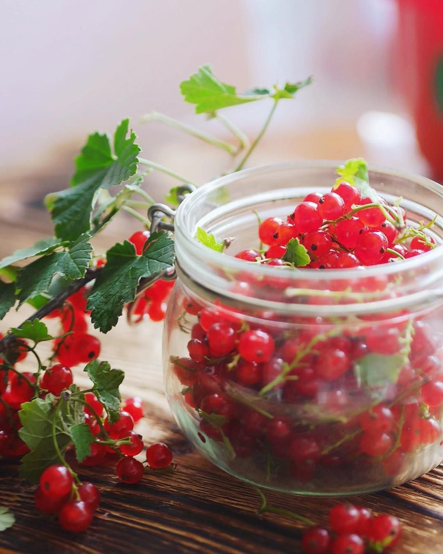 Наклейки крыжовник