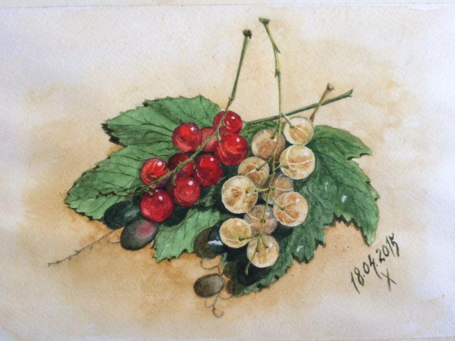 Красная смородина в корзинке