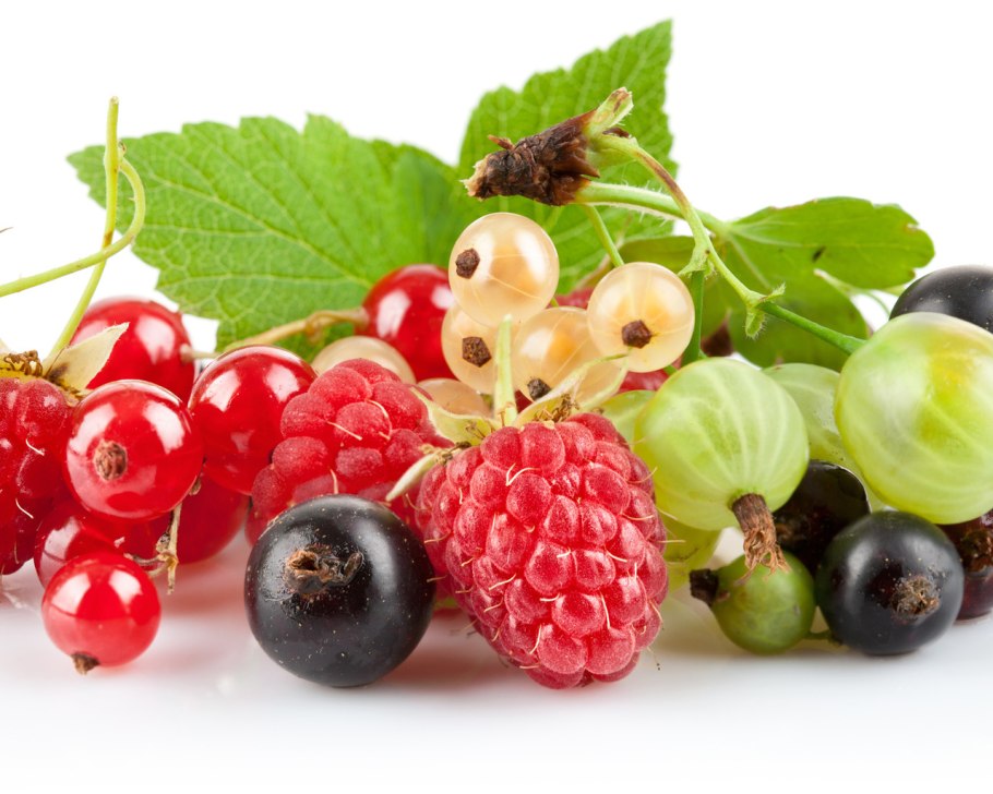 Красная смородина Рубин