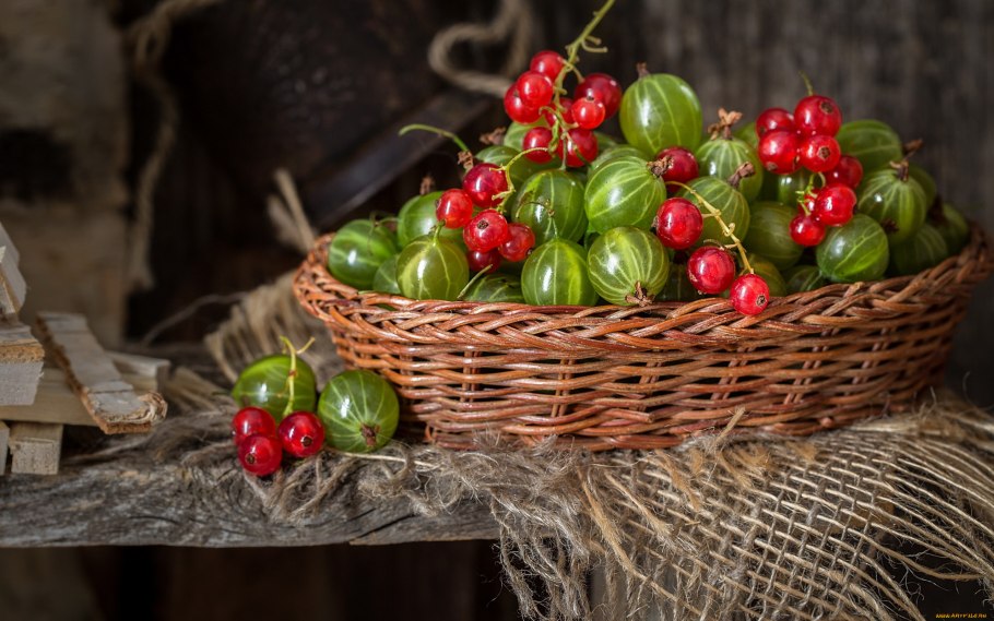 Ягода крыжовник со смородиной