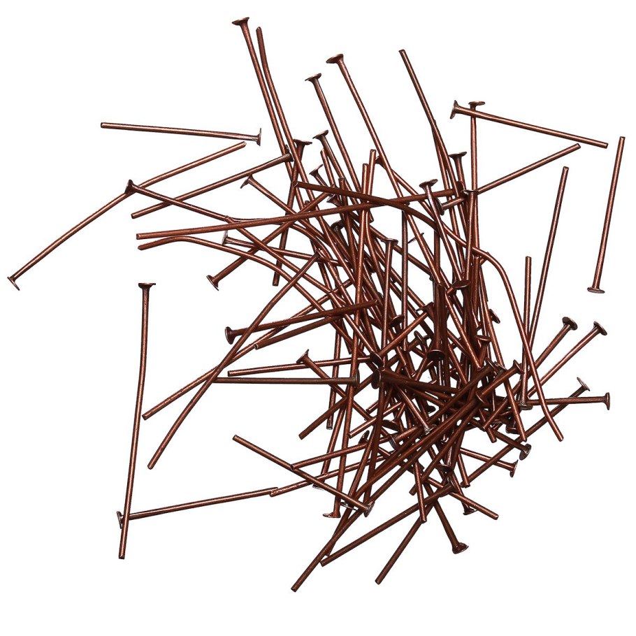 Хвощ плод коробочка