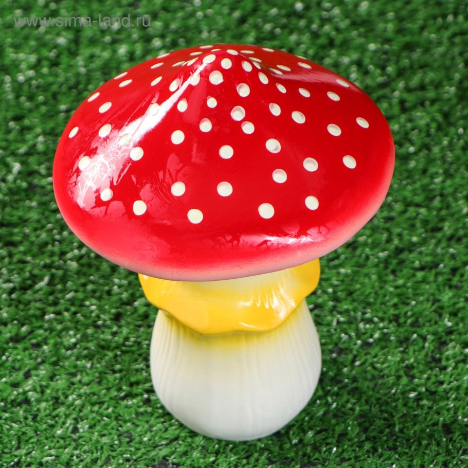 Шляпка гриба грибница