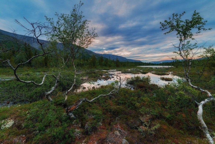 Природа кольского полуострова