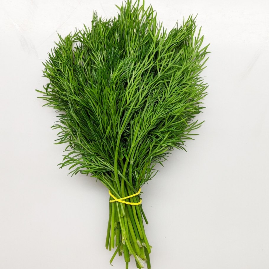 Укроп Ришелье