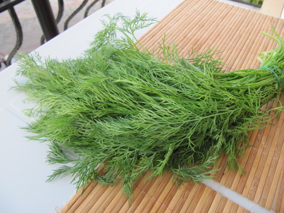 Укроп Голдкрон