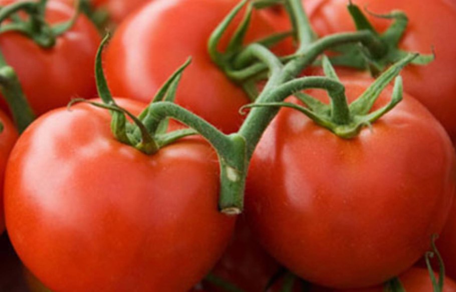 Томат Санрайз f1 (10 шт) Агрос