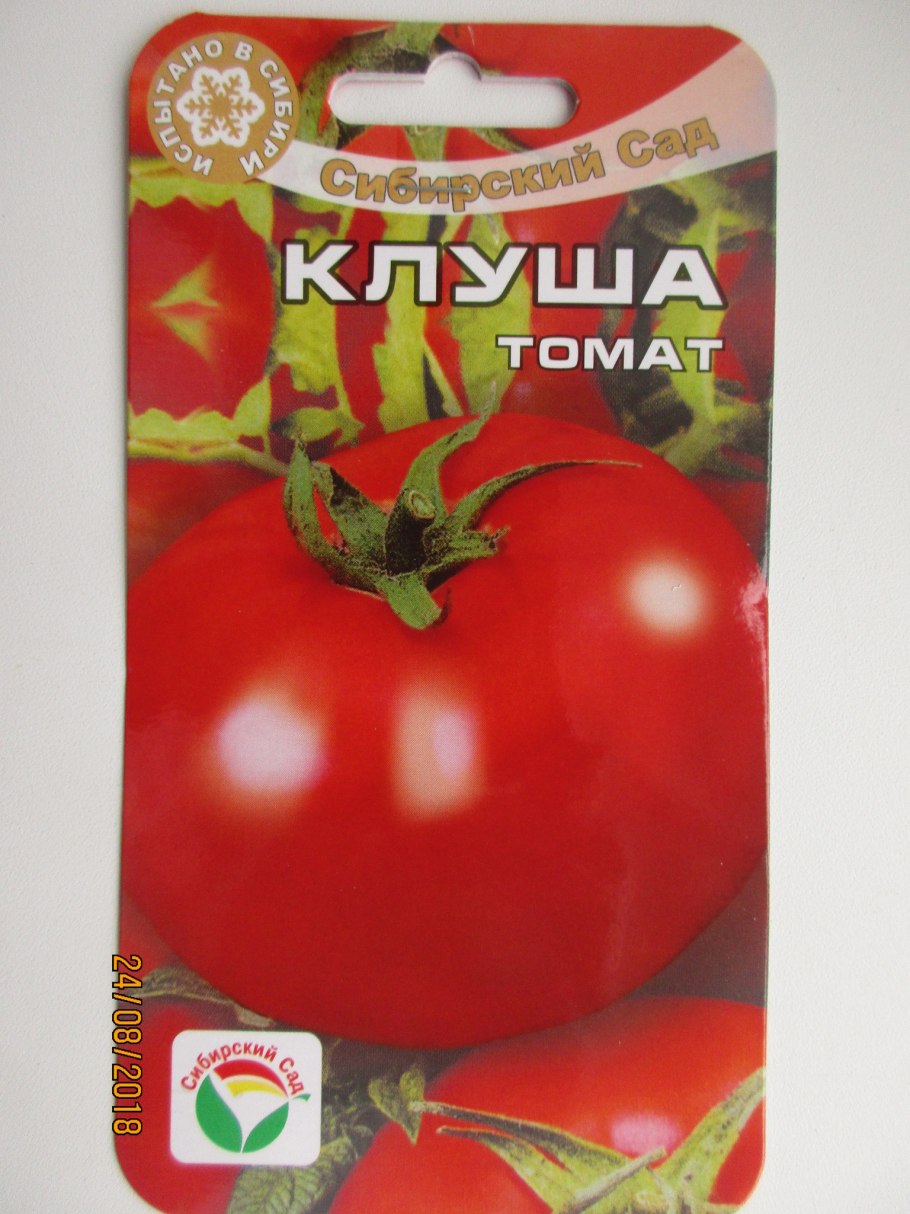 Сорт клуша Золотая